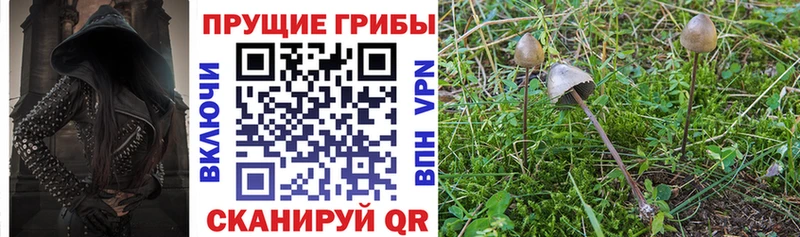 Псилоцибиновые грибы мухоморы  Иноземцево 